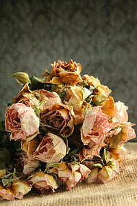 fiore, fiori, rosa, bouquet, secco, dissolvenza, Wilt