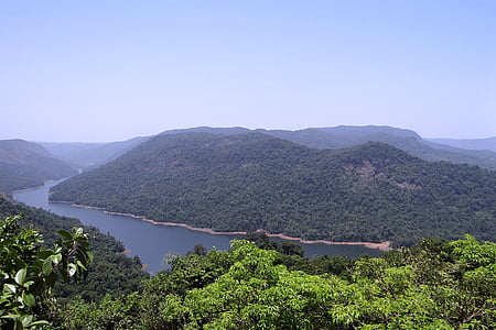 västra ghats, Sharavati river, dalen, bergen, tät skog, Evergreen, skogen