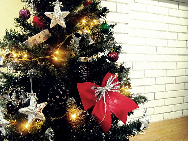 jõulud, puu, Holiday, Xmas, igihaljas, roheline, x-mas