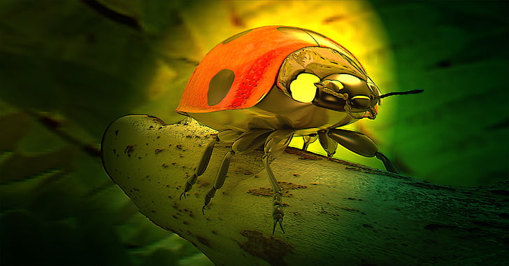 mariehøne, Bille, heldige charme, natur, insekt, 3D-model, rendering