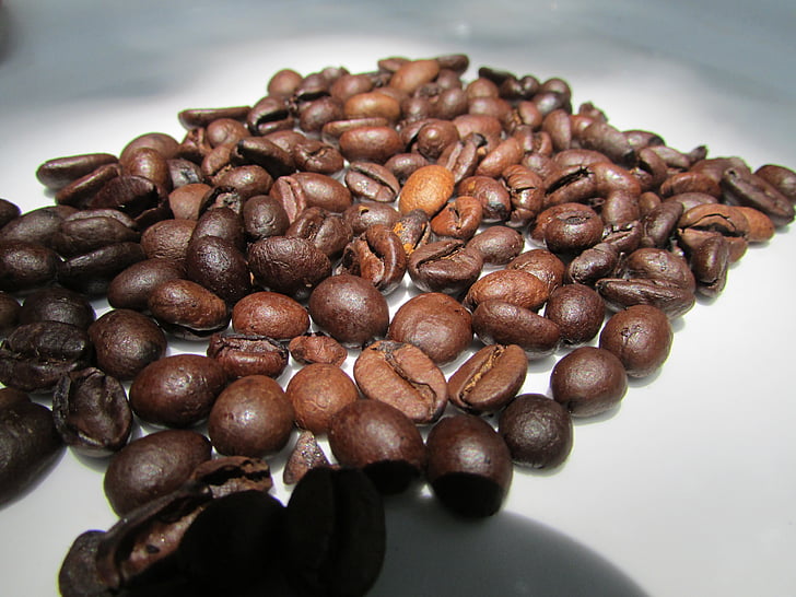 Ristede kaffebønner, dharwad, Indien, Bean, brun, koffein, Café