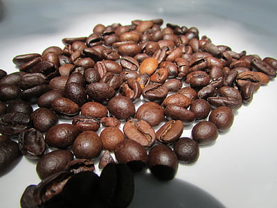 grãos de café torrados, Dharwad, Índia, feijão, marrom, cafeína, café