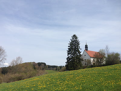 prato, Fridingen, Cappella, albero, abete, Valle del Danubio, natura