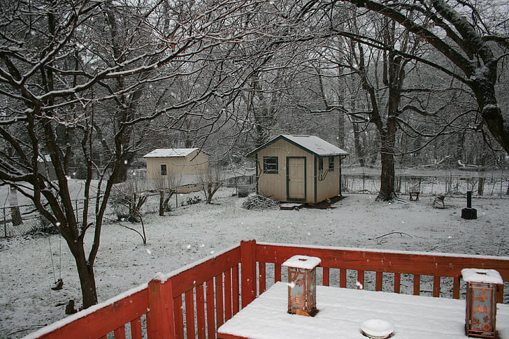 musim dingin, halaman belakang, salju, tenang, suram