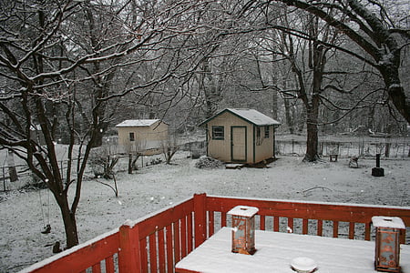 talvi, takapihalla, lumisade, hiljainen, kolkko