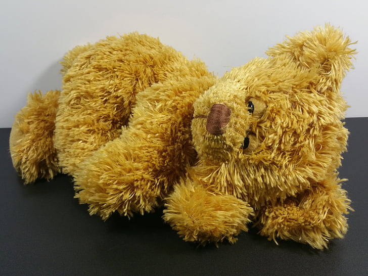 Teddy, oso de, juguetes, niños, oso de peluche
