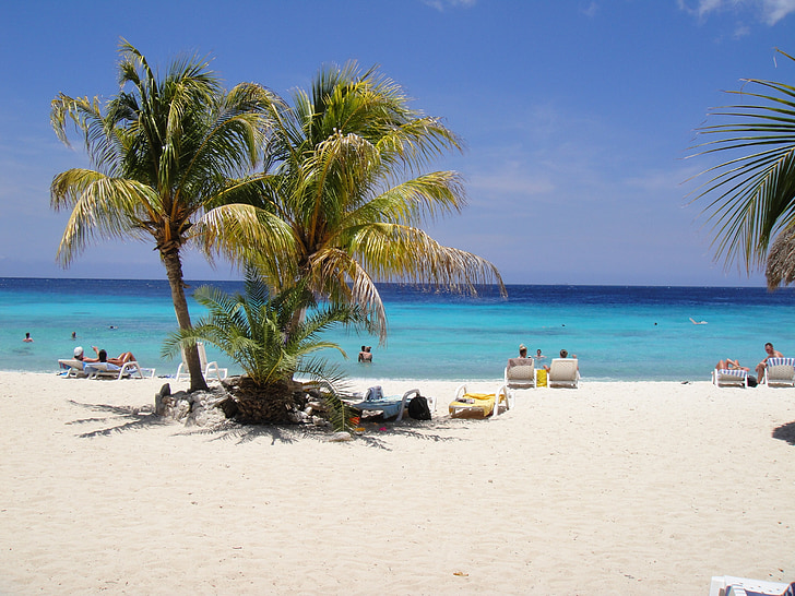 hermosa playa, árboles de Palma, Curacao, las Antillas, Caribe, Playa, mar