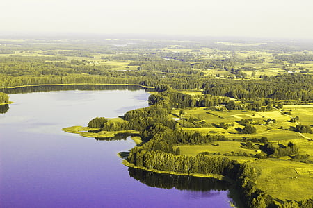 Όμορφο, φύση, Ευρώπη, Λιθουανία, πράσινο, δάση, πτήση των πουλιών