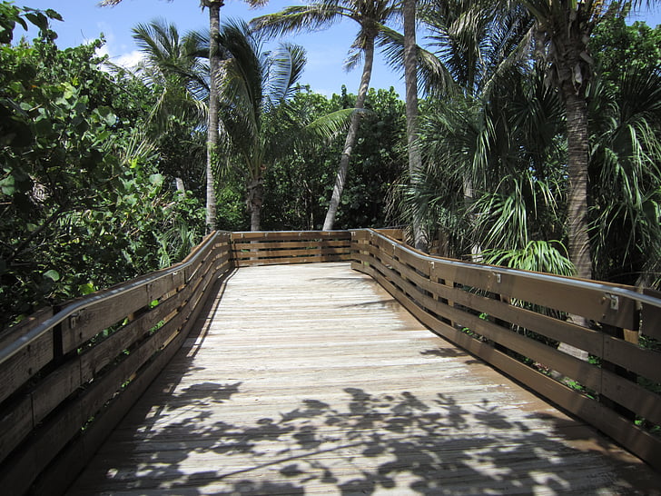 West palm beach, Most, Florida, palmy, podróży, Stany Zjednoczone Ameryki, Tropical