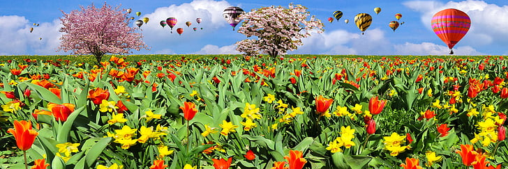 nature, spring, fly, balloon, flowers, tulips, daffodils