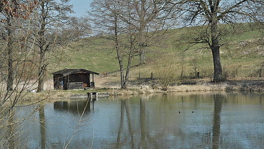 Reed, Wasser, Spiegelung, See, Bank, Natur, Landschaft