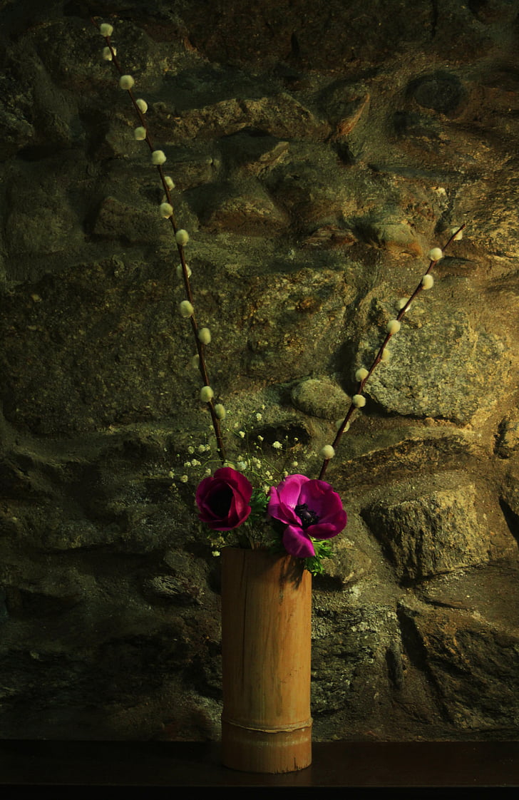 бамбукові, прикраса, декоративні, квіти, Троянди, полиця, Кам'яна стіна