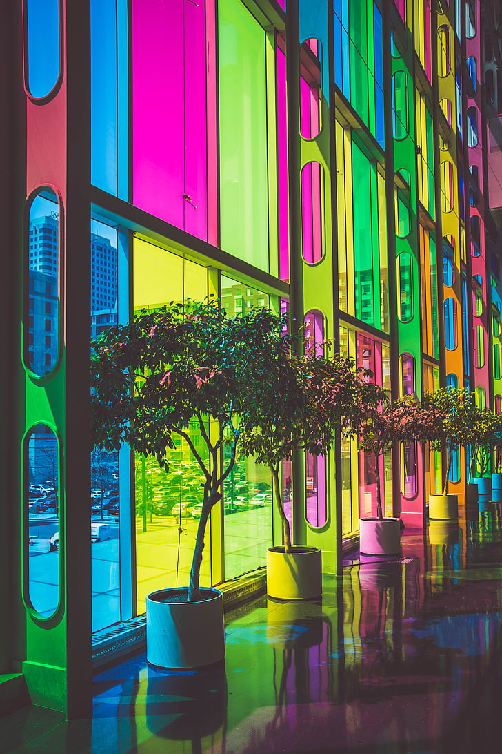 multi, color, glass, windows, art, tree, rainbow