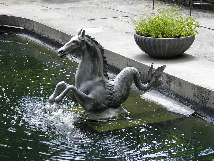 água, cavalo, fonte