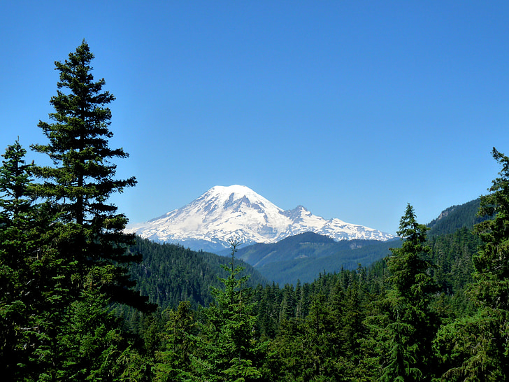 Mountain, Rainier, East side se, Washington, landskapsrutt, landskap, vildmarken