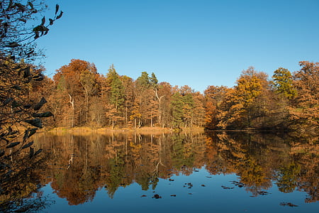 Stuttgart, Björnsjön, naturen, hösten, sjön, återspegla, reflektion