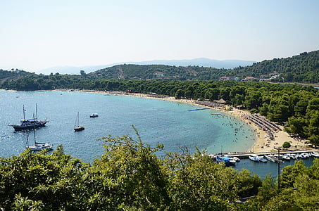 Griekenland, Skiathos, zomer, zee, Forrest, blauw, groen