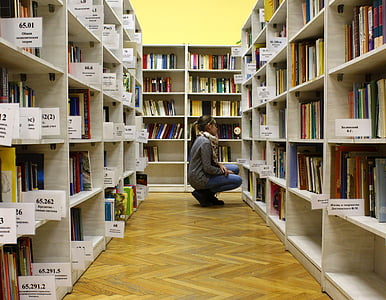 girl, library, books, reading, education, public, shelves