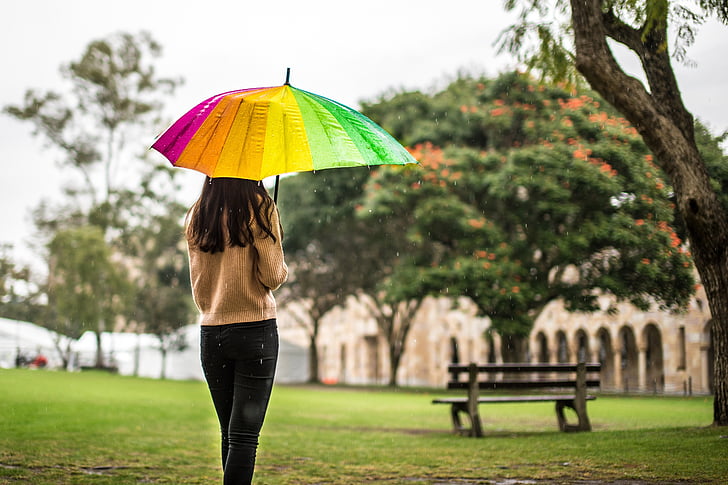 rain, umbrella, girl, melancholy, campus, bench, women