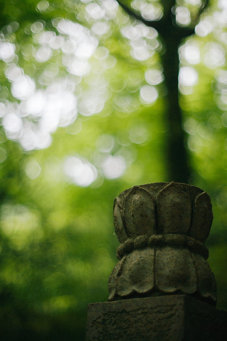 Lotus, foresta, scultura di pietra