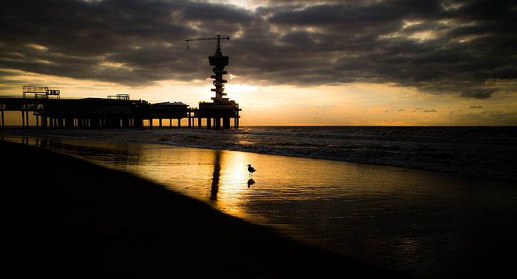 paysage marin, coucher de soleil, nuages, plage, Côte, station d’accueil, Crane