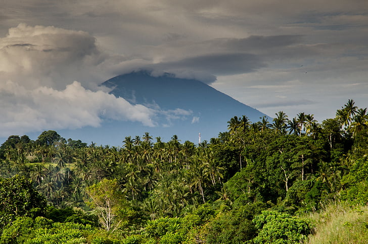 Mayon, sopka, Foto, Hora, Příroda, Asie, strom