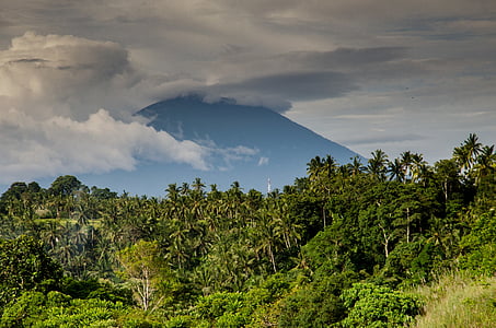 Mayon, vulkanas, nuotrauka, kalnų, Gamta, Azija, medis