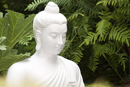 Buddha, sochařství, obrázek, božstvo, socha, parku, zelená