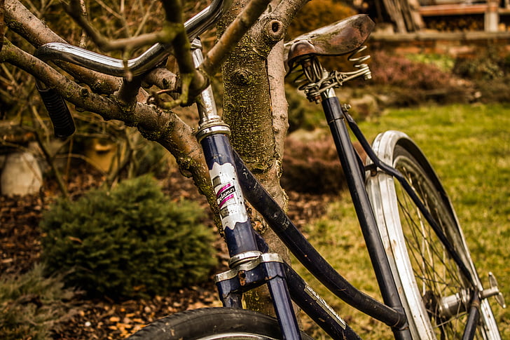 rotondo, escursioni in bicicletta, retrò, estate, Viaggi