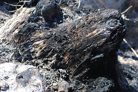 изгорени, дървен материал, пепел