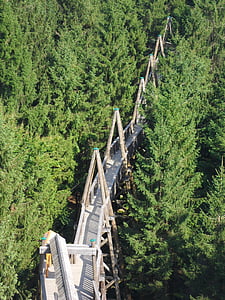 Treetop spasertur, kopfing, Innviertel, Oberösterreich, sauwald, Østerrike
