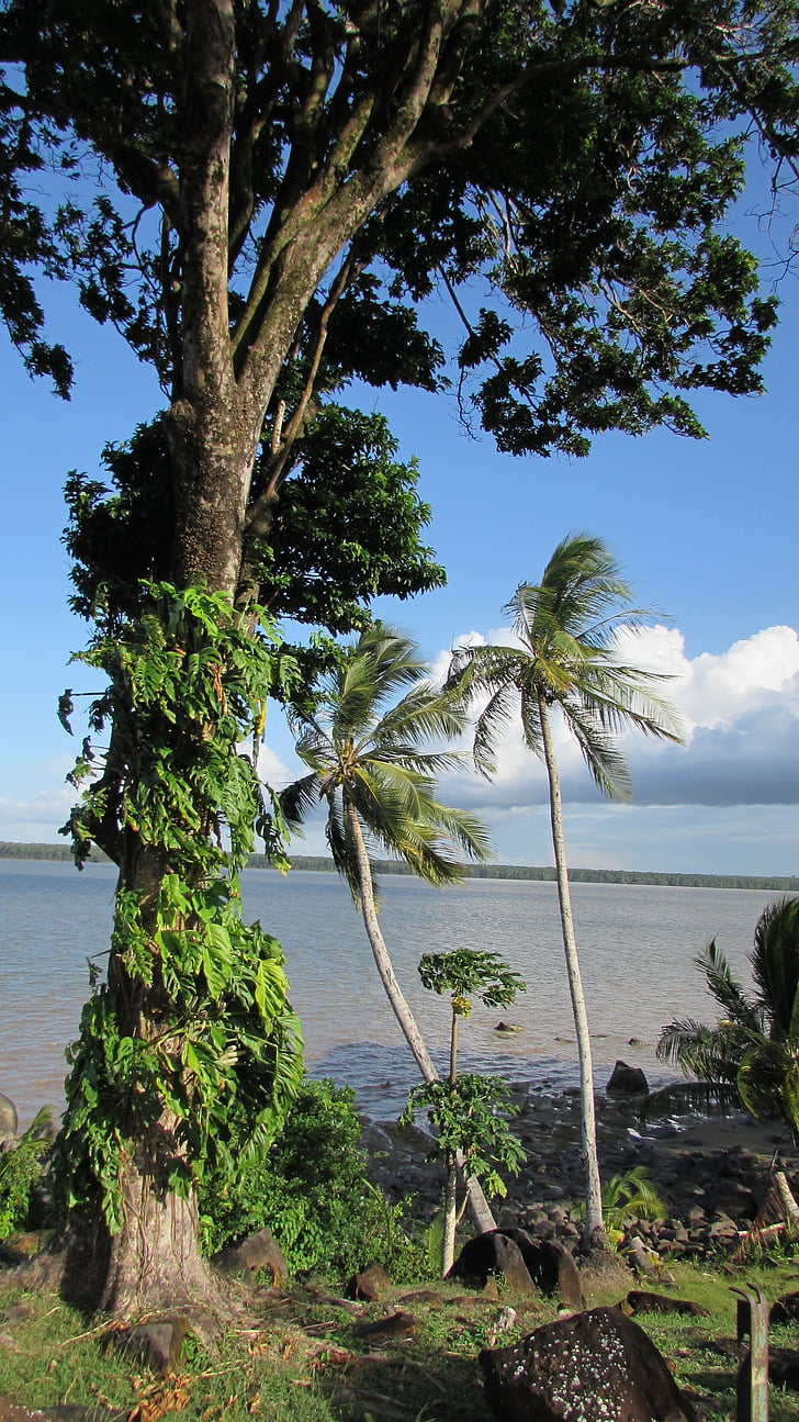 Cayenne Sungai, alam, cabai rawit, Guyana Perancis
