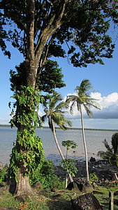 Cayenne-Fluss, Natur, Cayenne, Französisch-Guayana