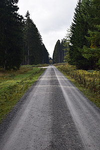 черен път, гора, далеч, природата, Есен, природата пътека, пътека