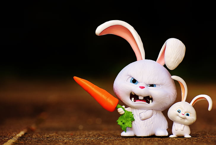 hare, evil, snowball, film character, pets, funny, cute