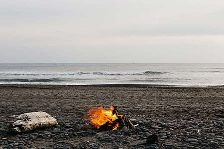 たき火, 付近, 海, 穏やかです, 天気, 火, ビーチ