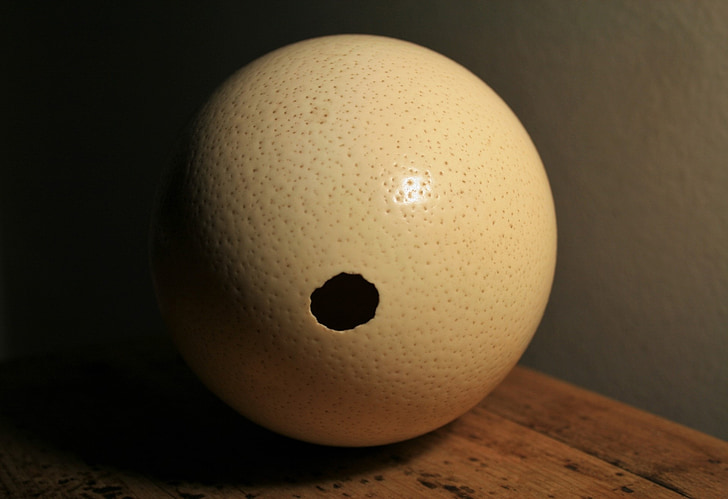 ostrich, egg, shell, hole, empty, container