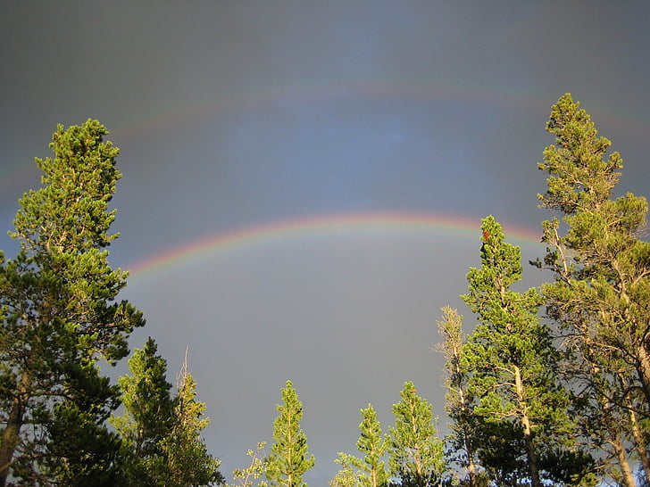 double rainbow, rainbow, trees, inspirational, colorado, sky