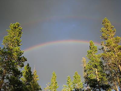 Çift gökkuşağı, Gökkuşağı, ağaçlar, ilham verici, Colorado, gökyüzü