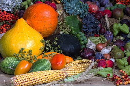 naturaleza muerta, fruta, verduras, pepinos, mazorca de maíz, alimentos, vegetales