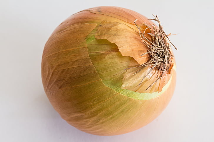 cream onion, kitchen onion, onions, bolle, gartenzwiebel, sommerzwiebel, house onion
