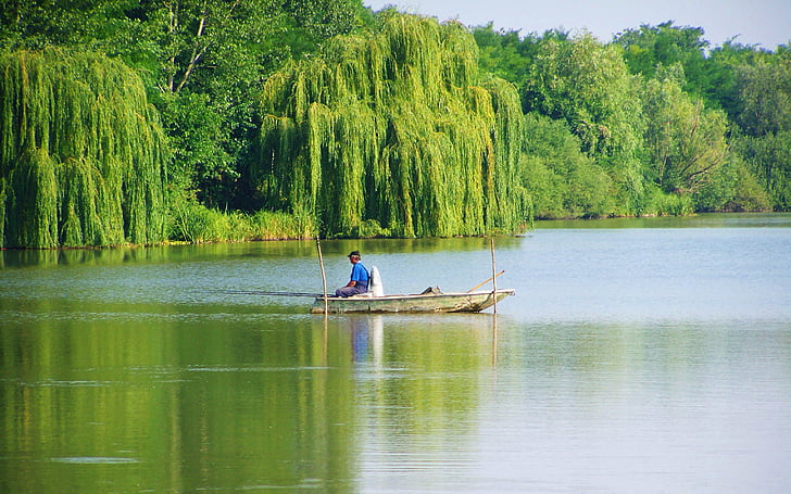 pêcheur à la ligne, vieux bateau, Lac, bateau nautique, nature, rivière, eau