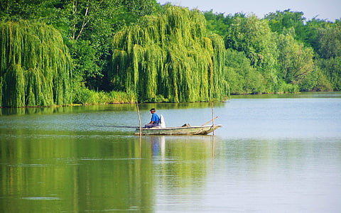 釣り人, 古いボート, 湖, 航海船, 自然, 川, 水