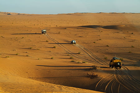 Sahara, désert, 4 x 4, sable, Rallye tout-terrain