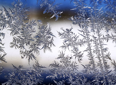 snefnug, Frost, glas, koldt, krupnyj plan, tekstur, kolde