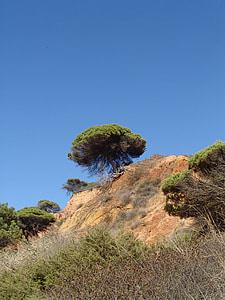 Алгарве, дерево, небо, побережье, Природа, Португалия