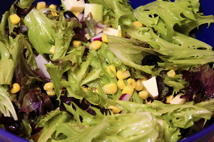 saláta, Frisch, rakéta, egészséges, zöld, vitaminok