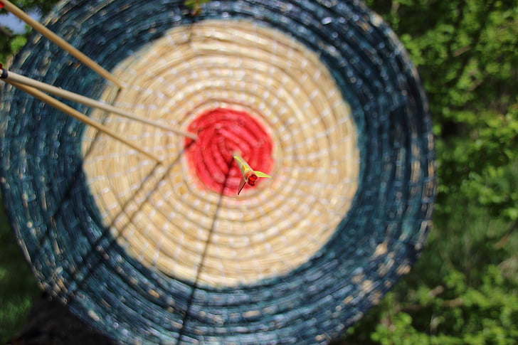 target, arrow, middle, bull's eye, archery, disc, center