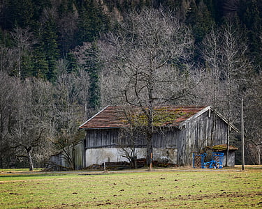 field barn, barn, nature, field, meadow, hut, old
