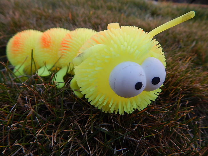 caterpillar, toy, yellow, insect, bug, eyes, nature